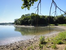 A hot sunny day, a shallow bay with plenty of mud sediment that has peeled from the bottom and the gases have brought it to the surface. For some, absolutely unsuitable conditions, but even in such places can catch a nice fish with a bit of perseverance.
