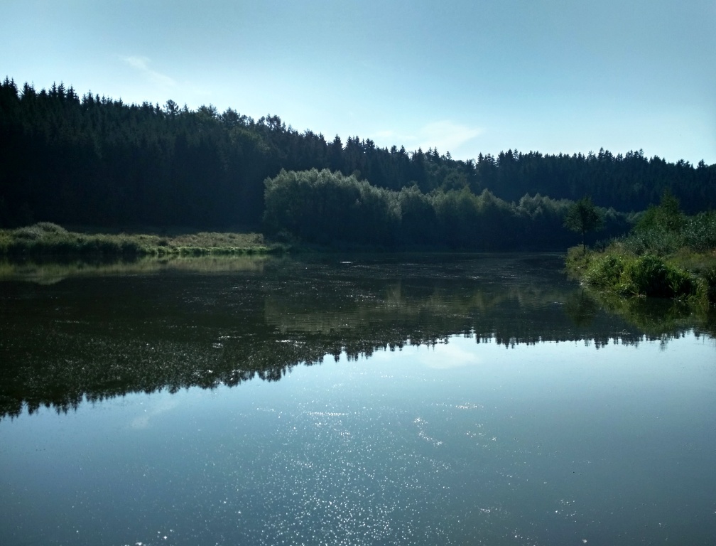 On smaller trout standing waters where you buy a daily licence, the situation is "more acute". These are mostly open ponds with no rugged bottom and coastal vegetation that would provide shade and safe shelter for the fish.