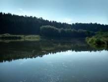 On smaller trout standing waters where you buy a daily licence, the situation is "more acute". These are mostly open ponds with no rugged bottom and coastal vegetation that would provide shade and safe shelter for the fish.