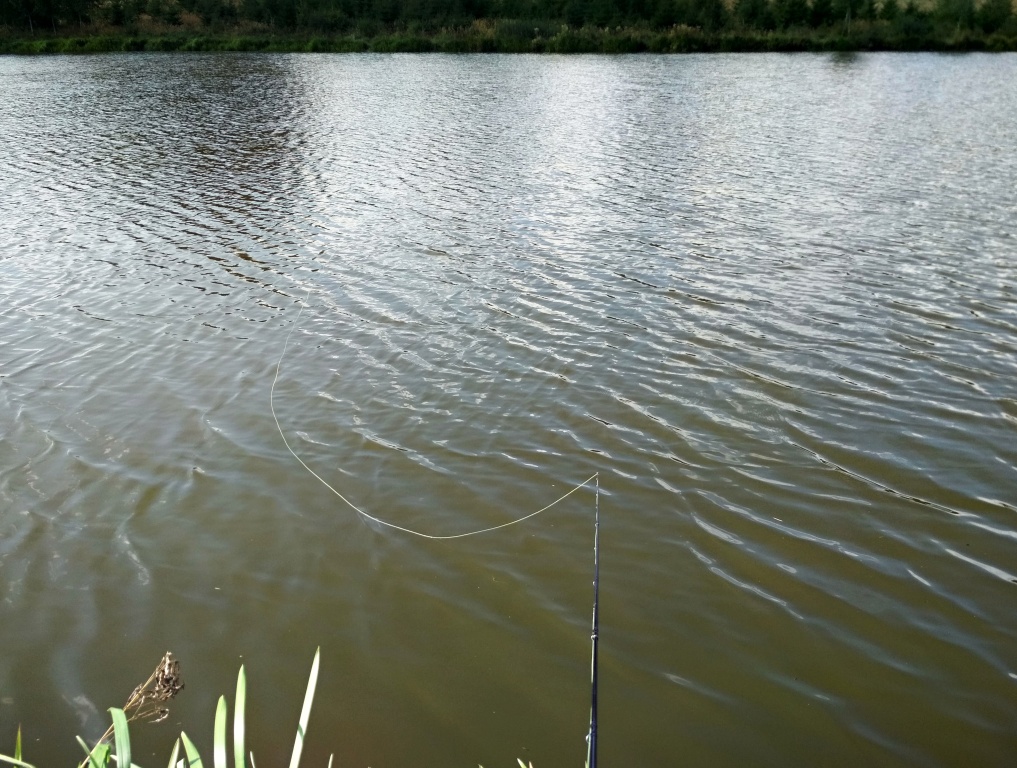 The mild wind with light ripples is often a relief of suffering. The fish are absolutely indifferent to activelly retrieving flies on such days! Therefore, a floating line with freely drifting small nymphs is often the only "effective" fishing method.