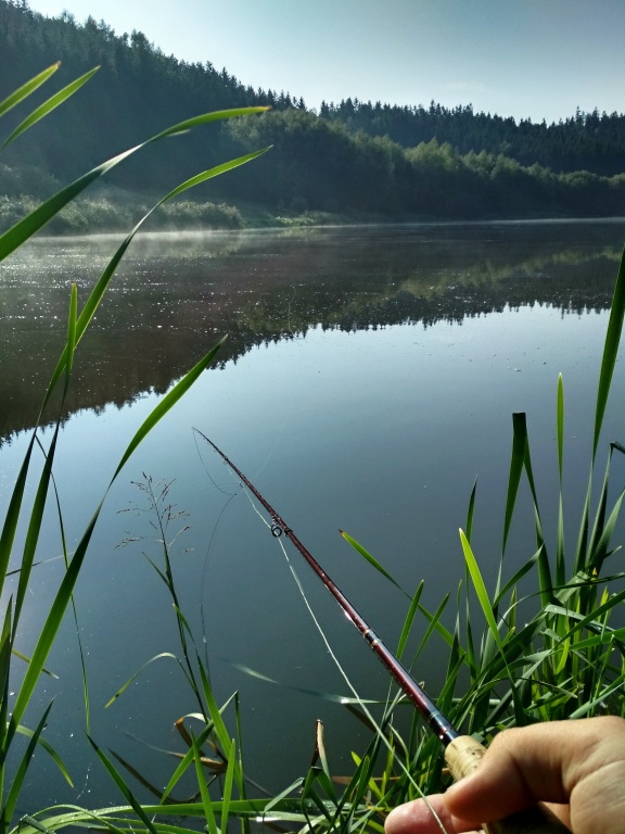 At a moment when the surface is like a mirror and the temperature exceeds the acceptable standard, fishing on still water is really hard and the conditions are challenging for both fish and fishermen. But if you don't just want to give up, hold on!