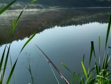 At a moment when the surface is like a mirror and the temperature exceeds the acceptable standard, fishing on still water is really hard and the conditions are challenging for both fish and fishermen. But if you don't just want to give up, hold on!