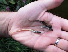 AR Mylar Body Fry Zonker. Another of my favorite and versatile baitfish streamers. Mylar tube beautifully imitate the scaly body of fish fry, while the muskrat zonker strip lively pulsates in the water. An irresistible bite for big trout from still water.