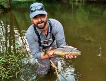 A beautiful natural fish from a small trout reservoir. I caught this trout between the water grass on a smaller fish streamer. A beautiful example of a true Czech brown trout living in still water.