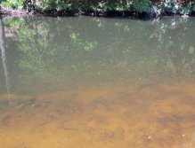 An ideal place to fish. Crossing the shallow into the darker depths, where a large number of small fishes stand. Most trout rides in the shade under the shore and go hunting in these flocks. Eventually very often there are also nice perch!