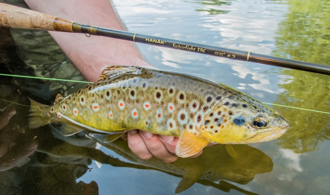 Fly Fishing in Austrian and Bavarian Waters