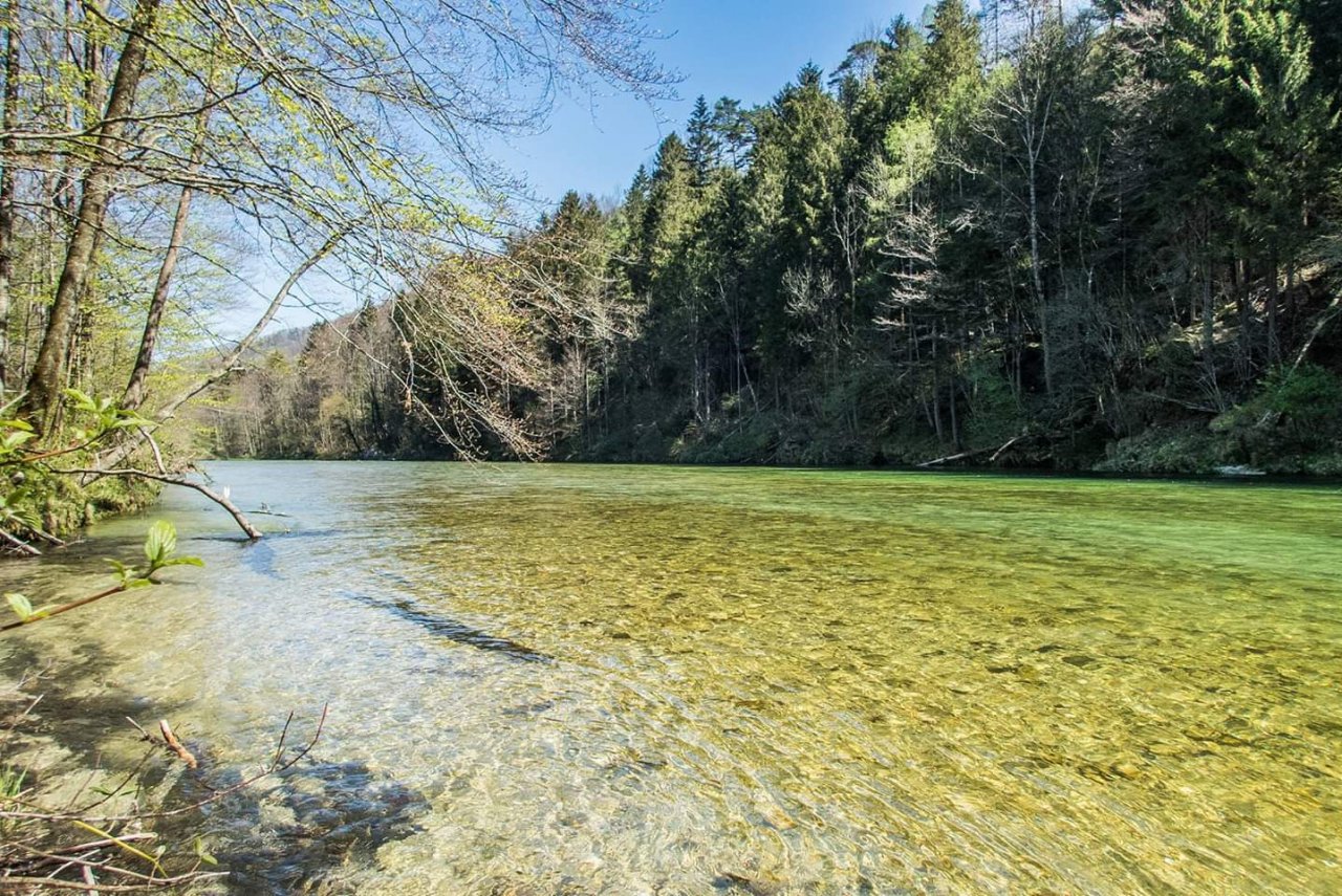 Fly Fishing in Austrian and Bavarian Waters