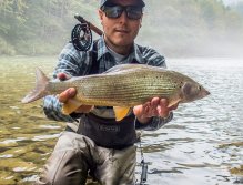 Fly Fishing in Austrian and Bavarian Waters