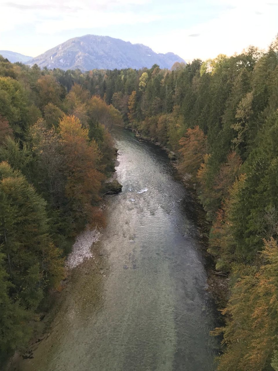 Fly Fishing in Austrian and Bavarian Waters