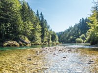 Fly Fishing in Austrian and Bavarian Waters