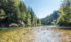 Fly Fishing in Austrian and Bavarian Waters
