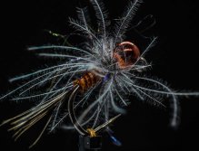 Tungsten Nymphs for Rivers and Streams in Austria