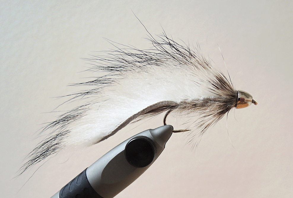 AR Silver Conehead Raccoon Zonker