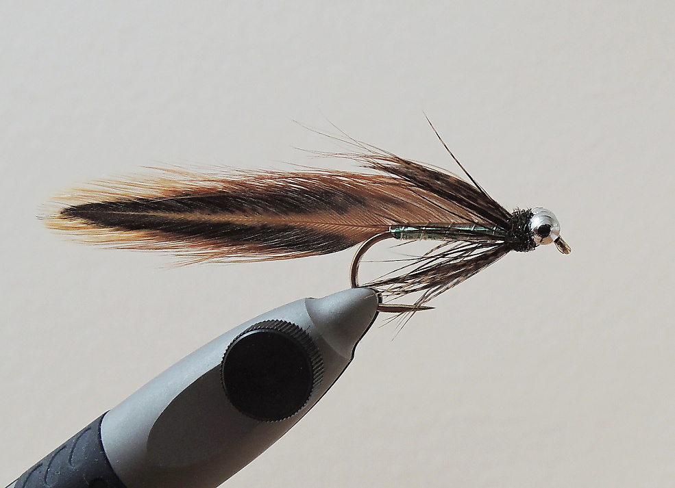 AR Cheeky Devil Matuka