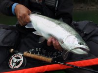 TOP & Favorite Streamers From My Fly Box