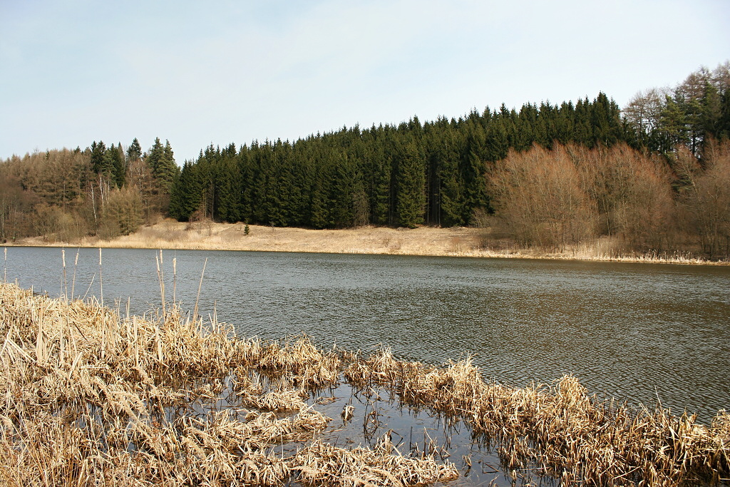 Beautiful spring day and very nice place on a trout still water. In addition, a slight wind blowing from left to right. In such a coastal vegetation it is ideal to wade near the shore. You'll be better off fly casting and landing your catch!