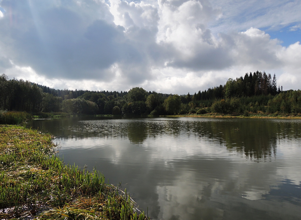 View of trout small water from my favorite fishing post. Most fishermen fish from the dam, or from the opposite side with deeper water. At this place, however, the bottom slowly sinks in depth, and in such places trout often look for food!