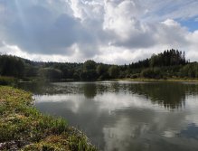 View of trout small water from my favorite fishing post. Most fishermen fish from the dam, or from the opposite side with deeper water. At this place, however, the bottom slowly sinks in depth, and in such places trout often look for food!