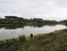 Begin a nice October day on my favorite small water! Fish "activity" is more than obvious from the photo, but in this case it does not mean a win! Especially when fish are showing frequent jumps above the surface and are not very interested in our flies!