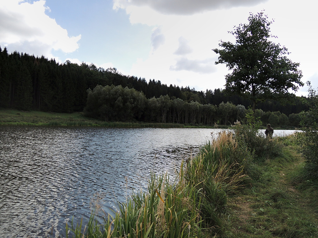 This time Jirka is trying a part with deeper water of the pond, where he tries to catch inert fish on slowly withdrawn nymphs on a floating fly line carried along the shore by gentle ripples - an excellent method for not active feeding fish!