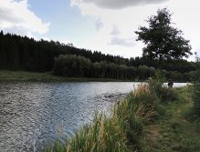 This time Jirka is trying a part with deeper water of the pond, where he tries to catch inert fish on slowly withdrawn nymphs on a floating fly line carried along the shore by gentle ripples - an excellent method for not active feeding fish!