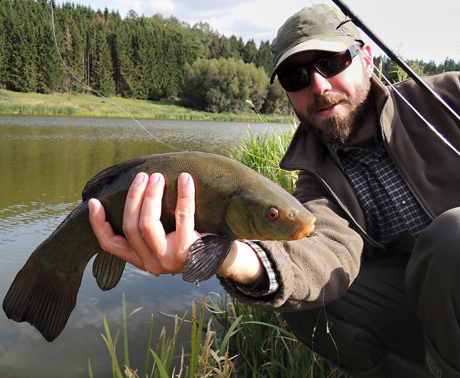 The method at the moment did not bear fruit in the form of some nice trout, but was not also completely unsuccessful! Evidence of this is a nice old tench, which is - in addition to pike, zander, perch and carp - also quite abundant in trout small waters.