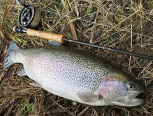 That's right! As I said in this gallery, in the early evening hours larger fish begin to pass through shallower water near the shores. If you are quieter enough, cautious and fishing with natural patterns, there is a good chance for a nice end of the day.