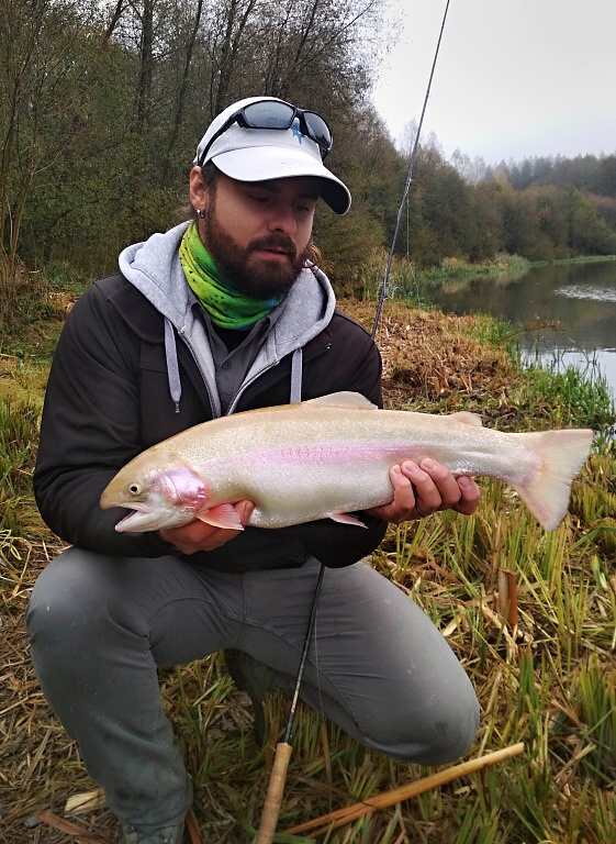 In the autumn I fish big golden rainbow with great success on the AR Fish Fry Booby Streamer, which I slowly retrieve on the intermediate or sinking line in the shallows, which these gold fish often pass but do not respond to other types of flies.