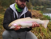 In the autumn I fish big golden rainbow with great success on the AR Fish Fry Booby Streamer, which I slowly retrieve on the intermediate or sinking line in the shallows, which these gold fish often pass but do not respond to other types of flies.