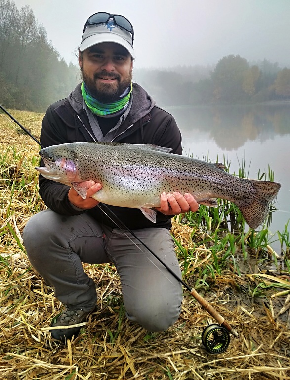 Large and chubby autumn rainbow trout caught on a smaller and distinctive pattern of an AR Bushy Seal Soldier wet fly, which I like to tie as a dropper fly when fishing with nymphs or wet flies on a floating or Hover fly line!