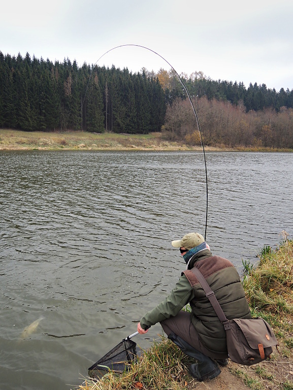 Part II. OK, the fish is still on the hook, but this time trying to go under the overgrown shore and there to get rid of the fly by some underwater obstacle! At that moment, try to turn over the fish back on the open water!