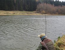 Part II. OK, the fish is still on the hook, but this time trying to go under the overgrown shore and there to get rid of the fly by some underwater obstacle! At that moment, try to turn over the fish back on the open water!