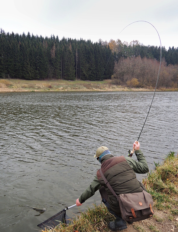 Part III. It looks like the good end is coming! Once the fish is ready, place the landing net in the water and guide the fish over it! As soon as the fish is in the space, lift the landing net! Other landing techniques usually scare the fish!
