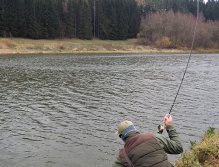 Part III. It looks like the good end is coming! Once the fish is ready, place the landing net in the water and guide the fish over it! As soon as the fish is in the space, lift the landing net! Other landing techniques usually scare the fish!