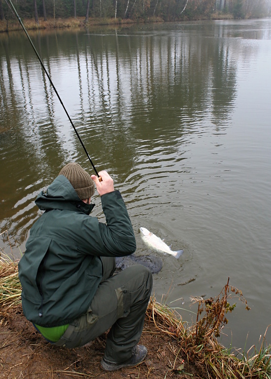 The cold autumn and winter months are a test of your endurance and the quality of your clothing, which is really important! If you underestimate this fact, you fail! And the longer the flies are in the water, the more likely the fish strike is! ;-)