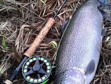 A nice winter rainbow caught on a slowly retrieved AR Peacock Head Viva Special. In the colder season, the fish are very moody, but if you hit the "fish menu" in the short feeding windows, you have chance for a nice winter catch!