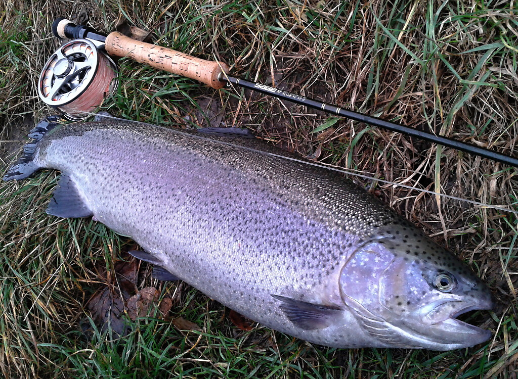 Another big rainbow caught by using an intermediate fly line and my other favorite autumn and winter AR Fish Fry Booby Streamer. In case of really cold water use tiny and small fly patterns or slow retrieved Booby nymphs!