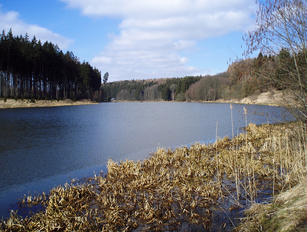 With belly boat you can get to places that are difficult to access from the bank! Such places are often great, because fish there are not so spooked and more trusting in our flies, than in more accessible areas for other fishermen!