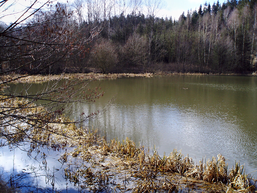 In flooded reeds often trout seek shelter from predators, which are here - in addition to persistent fishermen - mainly pike in  abundance! If you fish in these places with bigger lures, besides trout you can also catch a nice pike!