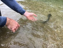 Still Water Fly Fishing in Trentino