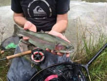 Still Water Fly Fishing in Trentino