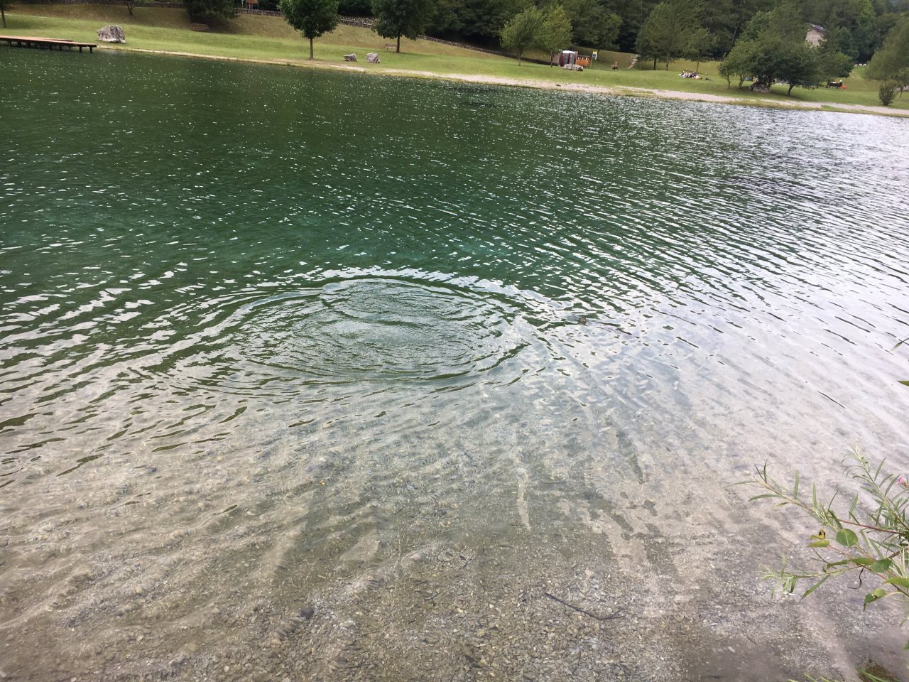 Still Water Fly Fishing in Trentino