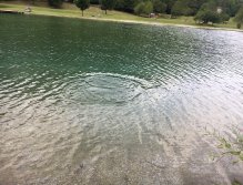 Still Water Fly Fishing in Trentino