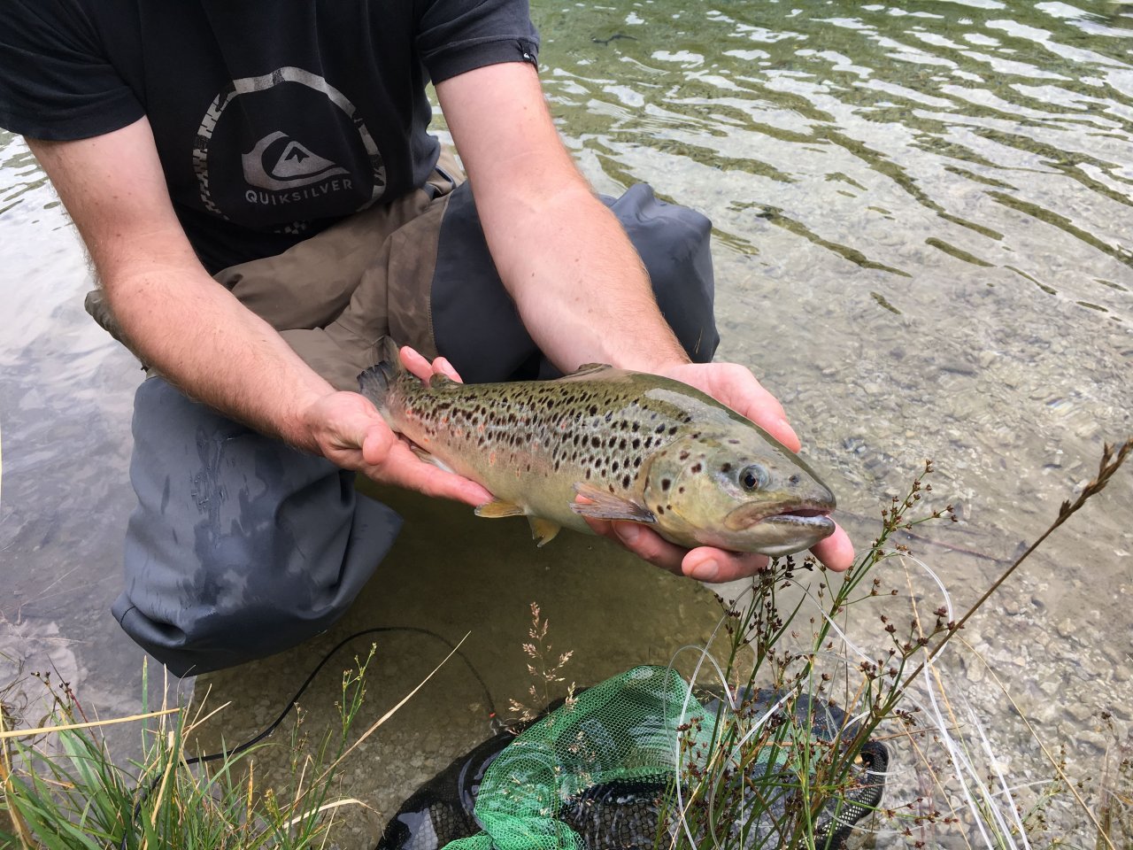 Still Water Fly Fishing in Trentino