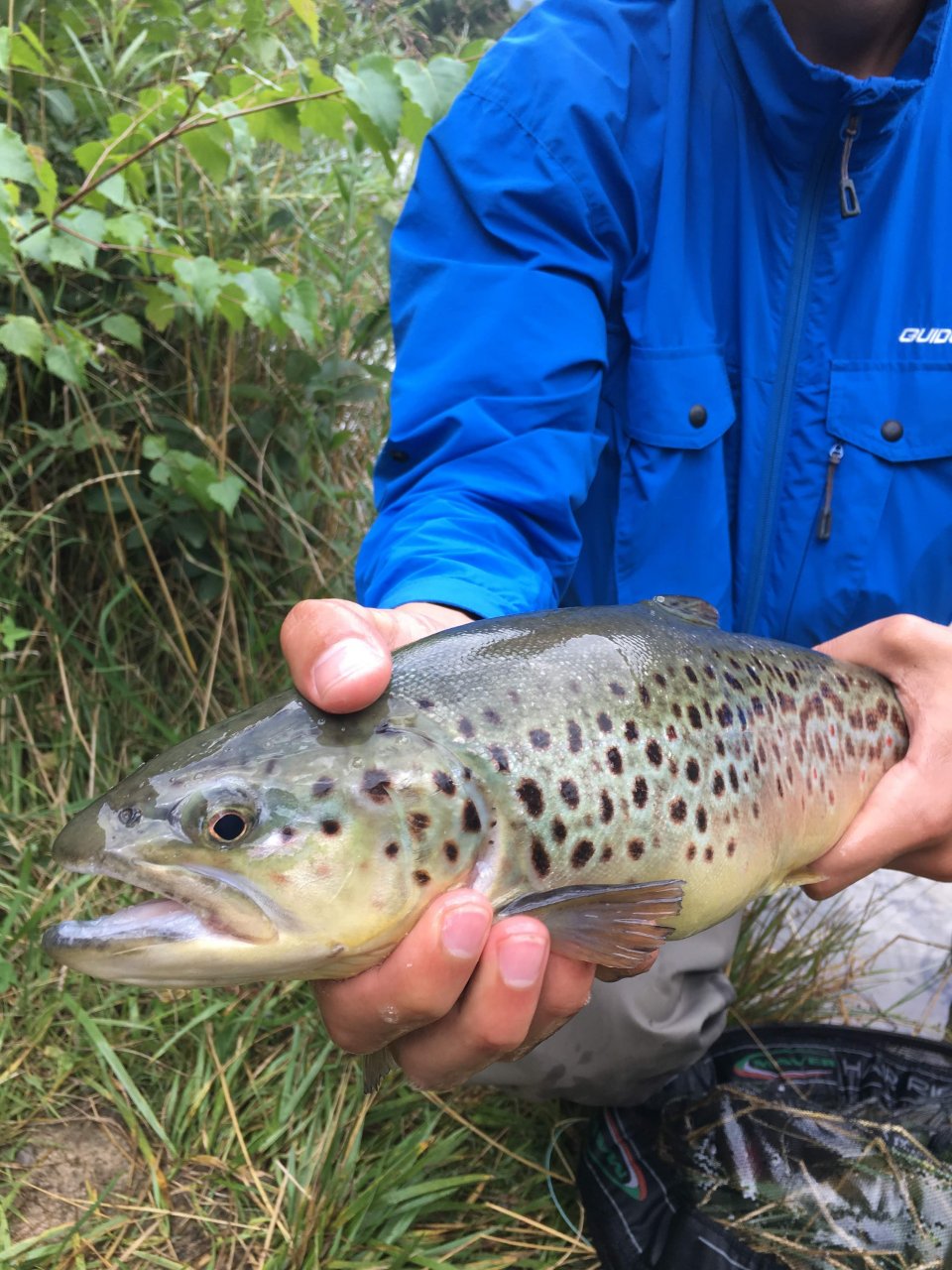 Still Water Fly Fishing in Trentino