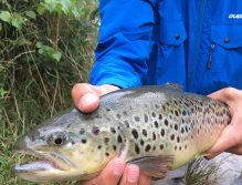 Still Water Fly Fishing in Trentino