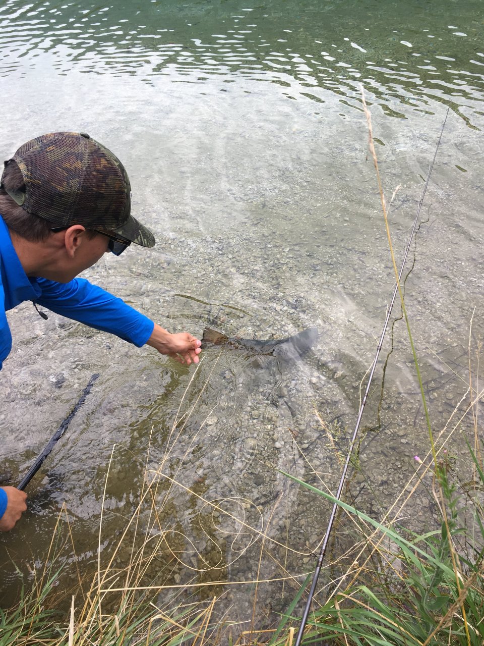 Still Water Fly Fishing in Trentino
