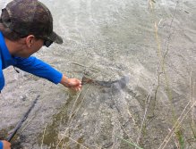 Still Water Fly Fishing in Trentino