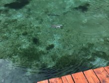 Still Water Fly Fishing in Trentino