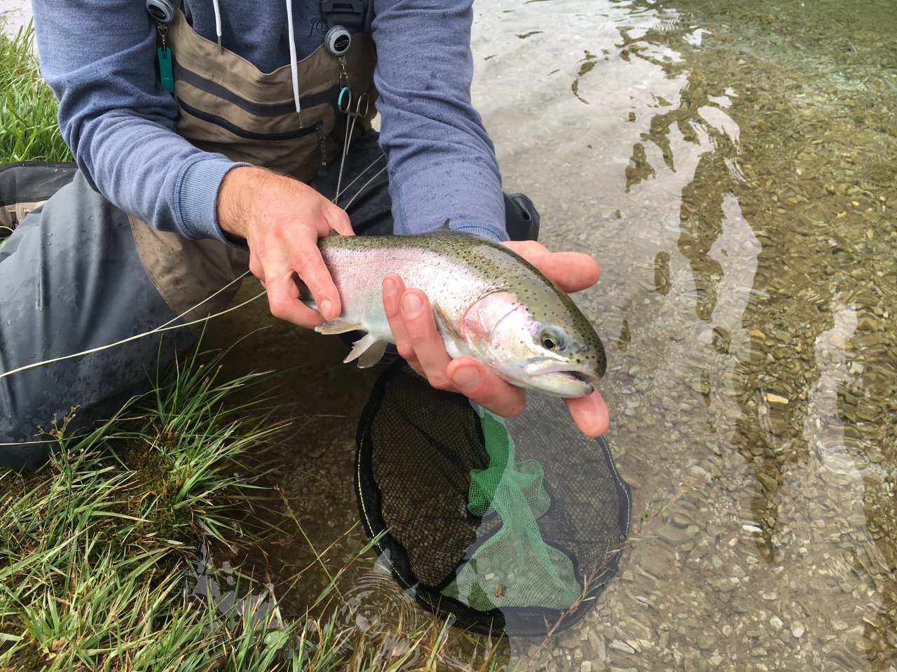 Still Water Fly Fishing in Trentino